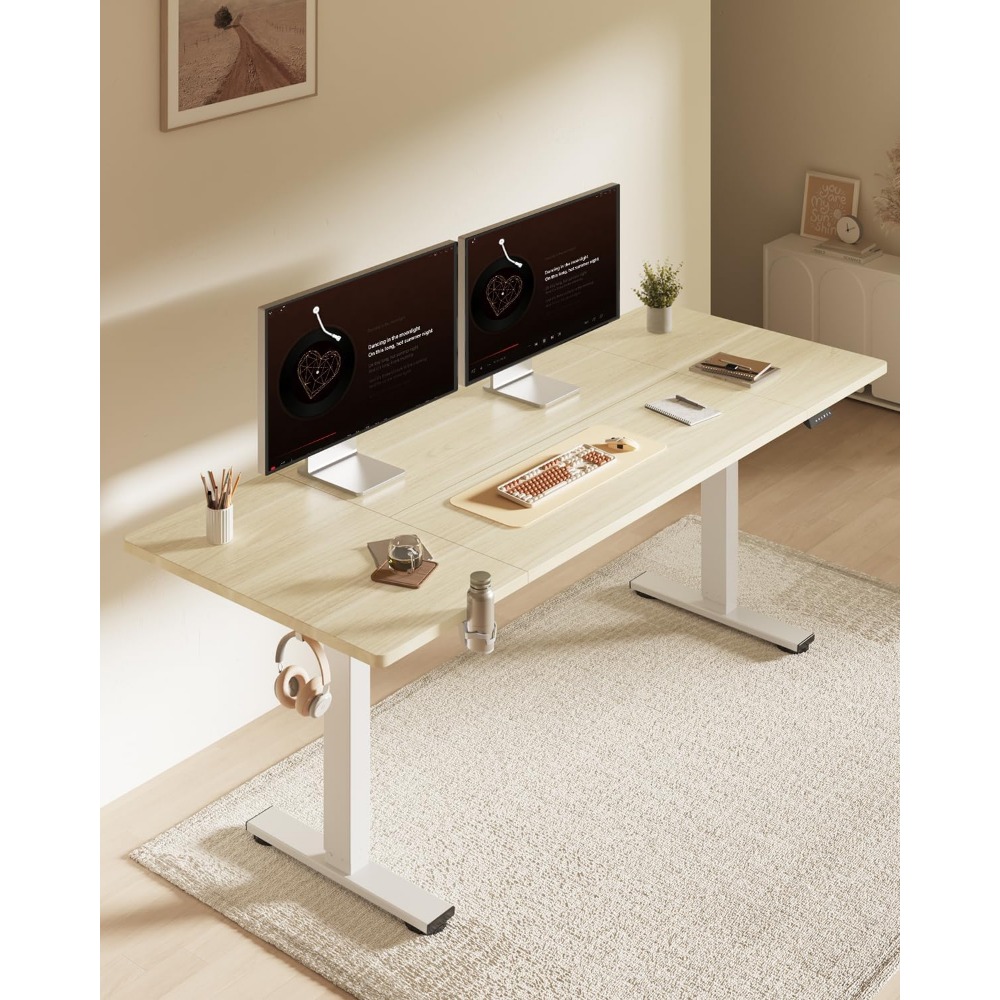 مكتب كهربائي قابل للوقوف من FL - مراجعة Desk Setup For Office وسعره